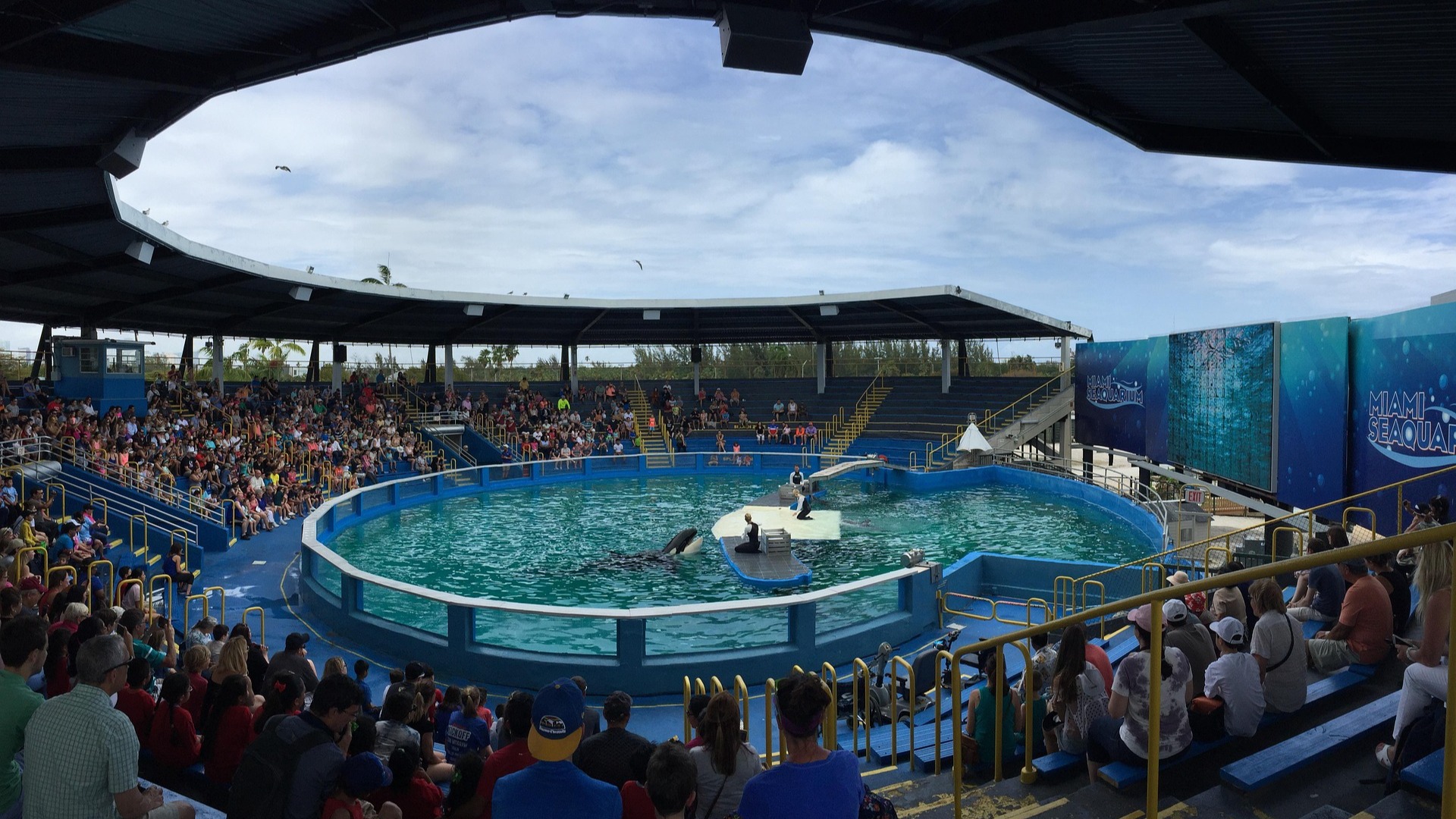 Miami Seaquarium